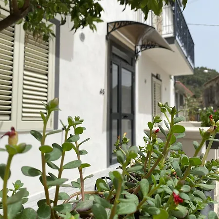 Homes By Palumbo Apartment Prunella