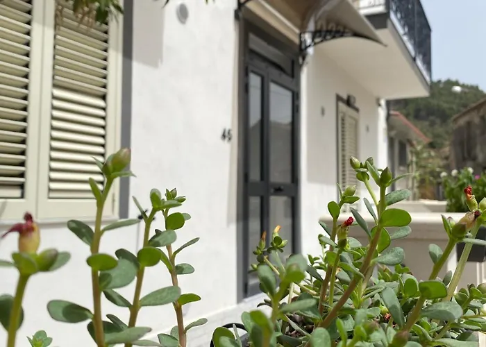 Homes By Palumbo 公寓 Prunella